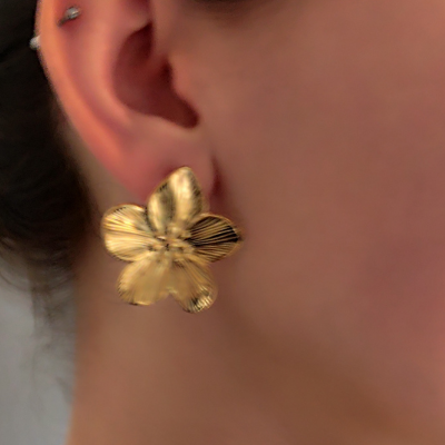 Fleurya